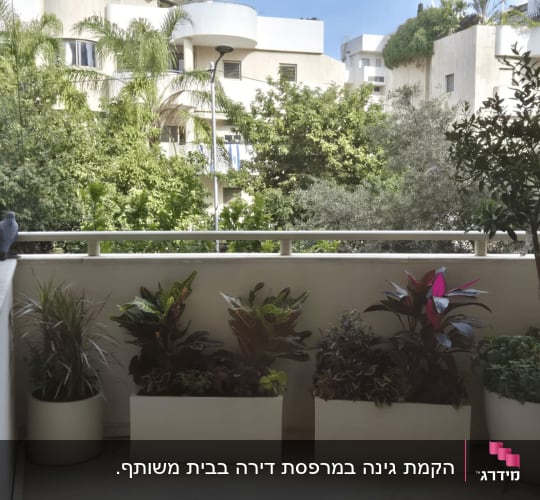 עציצים עם צמחים במרפסת עם נוף לעצים ובניינים